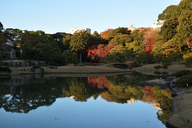 六義園の夜間ライトアップされた紅葉の様子